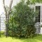 Costway 71&#x22; Tall Metal Garden Trellis for Climbing Plants 2/4 Pack Fence Panels Retro